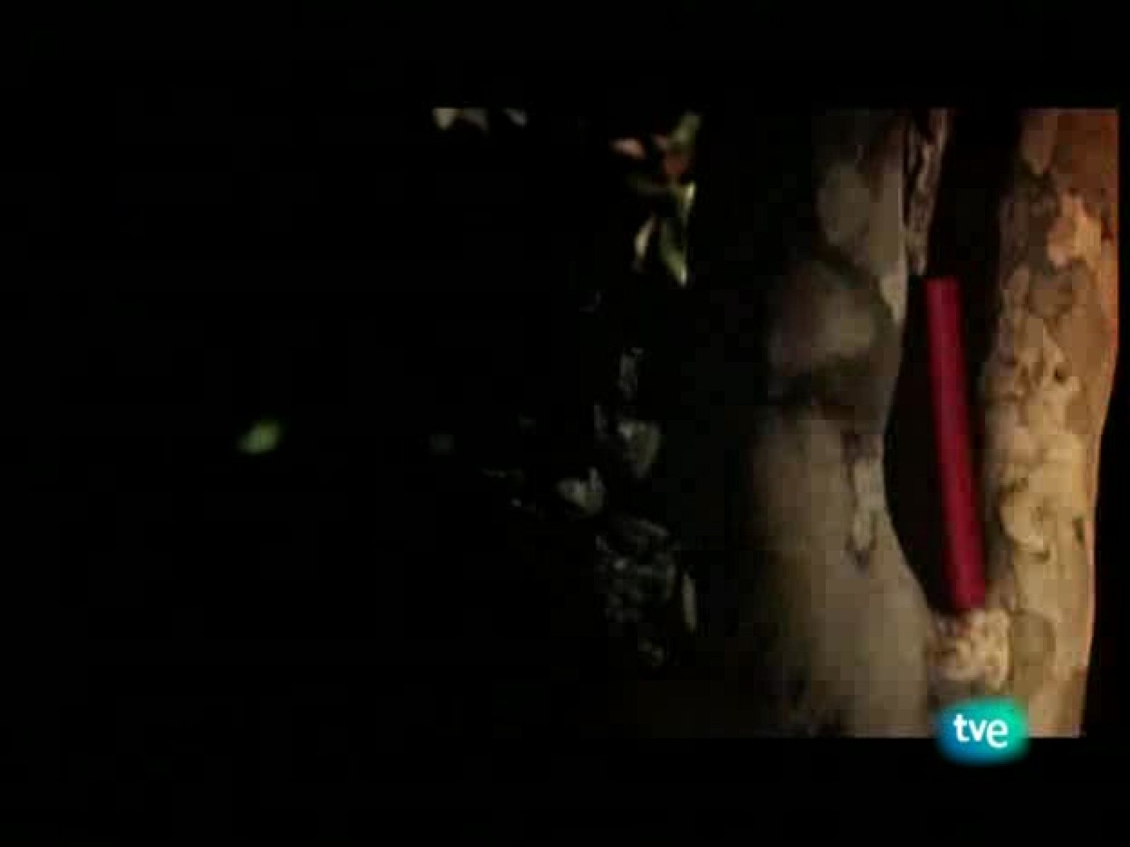 Página 2 - 02/11/08 - Página Dos | Ver