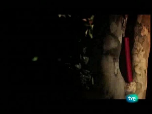 Página Dos - Página 2 - 02/11/08