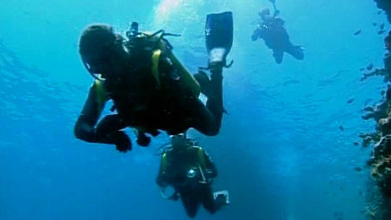 Bubbles - Indonesia - Ver ahora