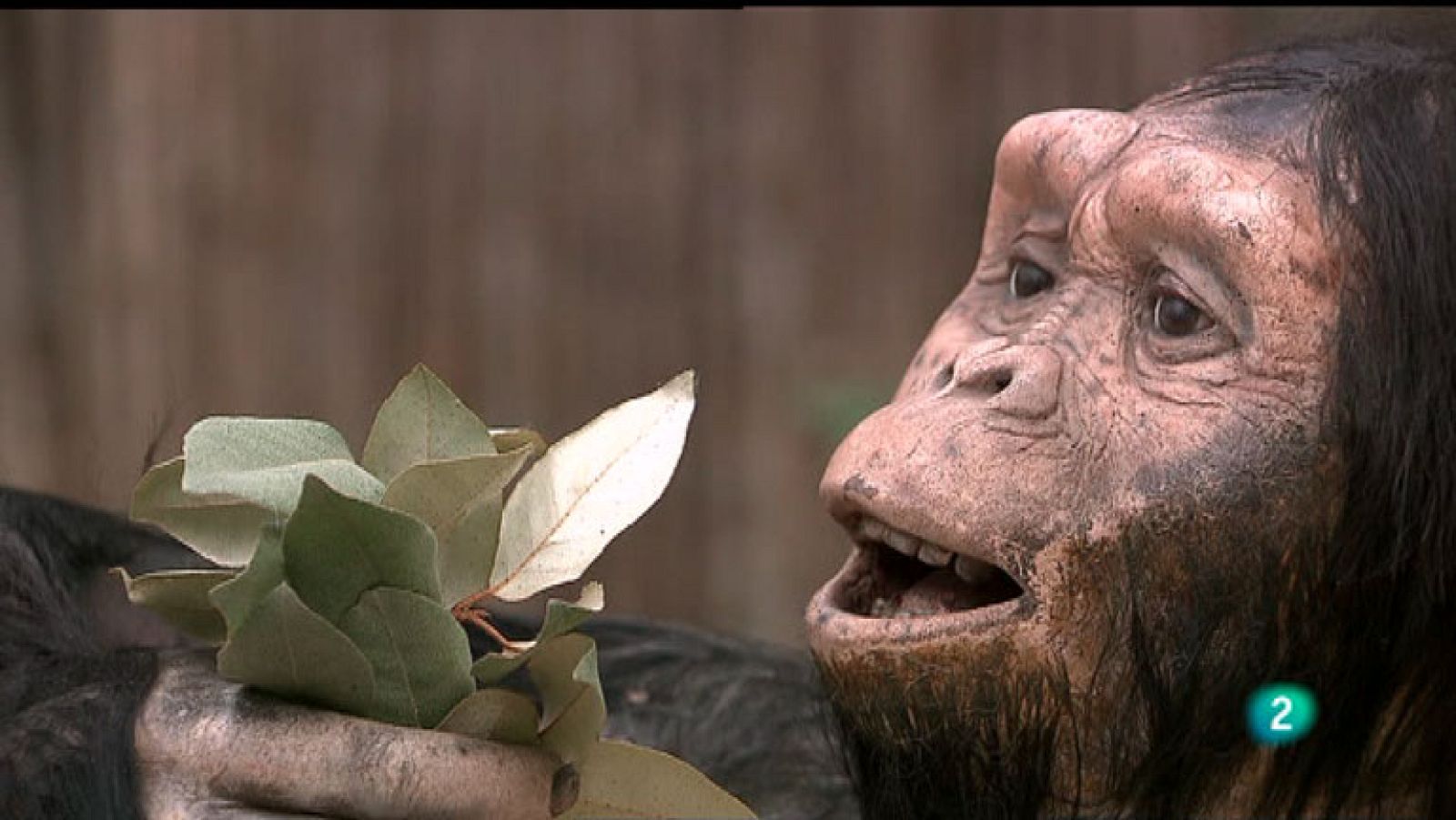 La Aventura del Saber. Arqueopinto