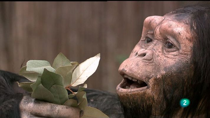 La aventura del Saber - Arqueopinto