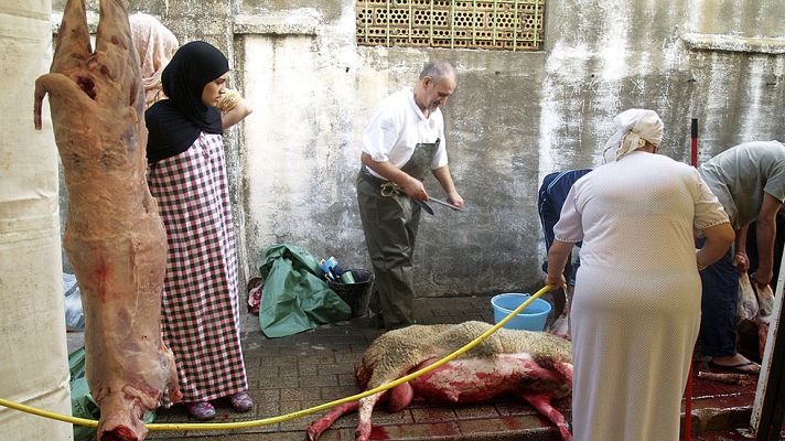 Telediario 1 - Más de 1,8 millones de musulmanes en España celebran la fiesta del sacrificio del cordero