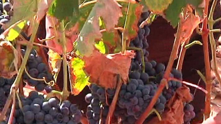 L'informatiu - Comunitat Valenciana - La Comunidad Valenciana en 2' - 24/09/15