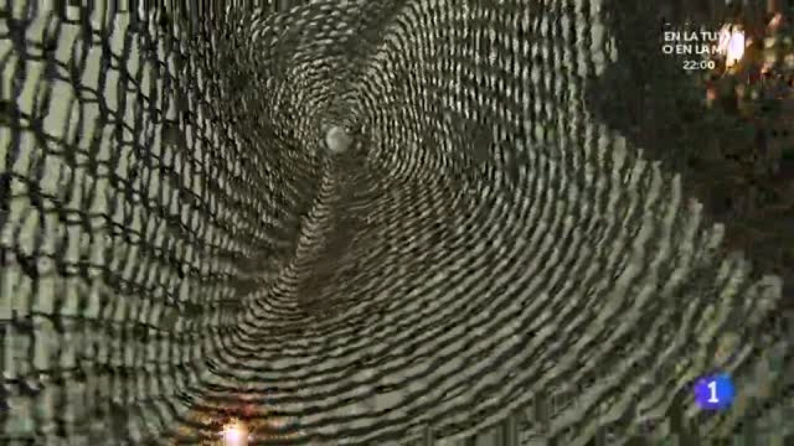 Sushi y sashimi para todos