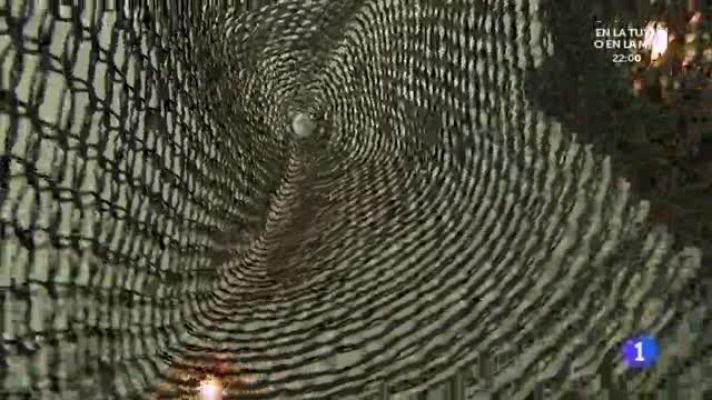 Aquí la Tierra - Sushi y sashimi para todos