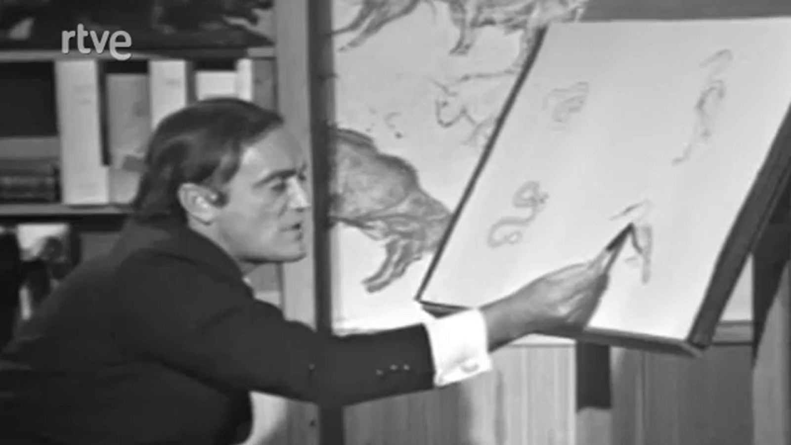 El planeta azul - Everglades