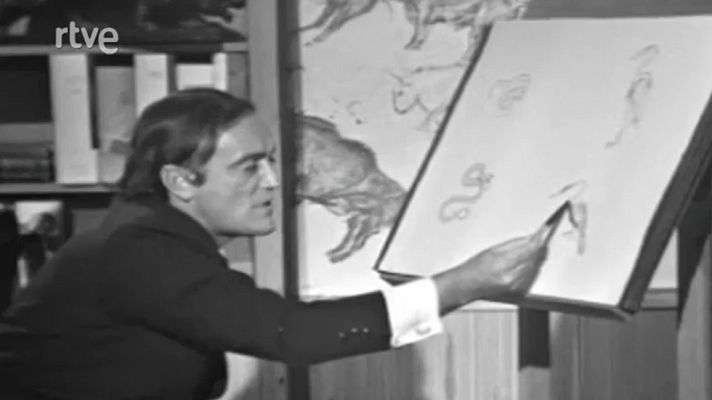 El planeta azul - Everglades