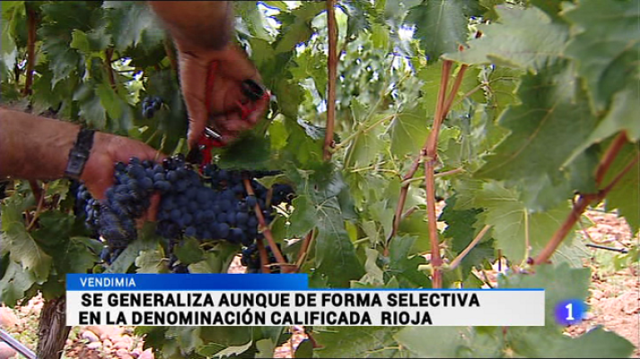 Informativo Telerioja - Informativo Telerioja - 25/09/15