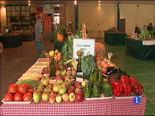 Panorama Regional - Panorama Regional 2 - 25/09/15