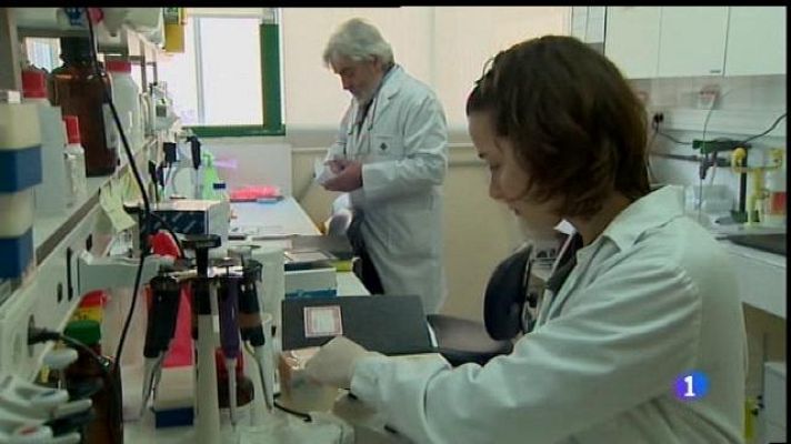 Informatiu Balear - Aliments intel·ligents per combatre l'obesitat