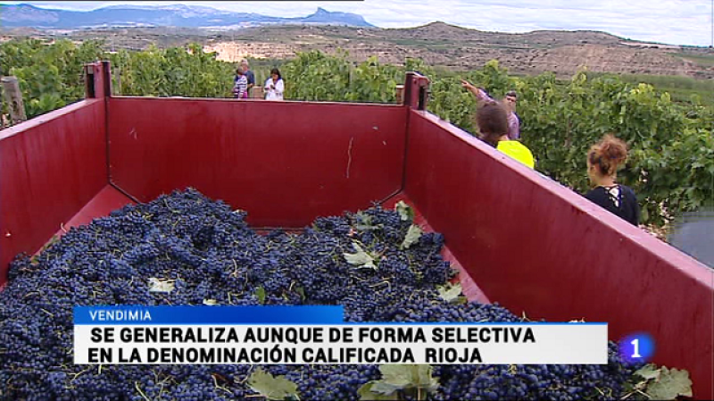 Informativo Telerioja 2 - 25/09/15