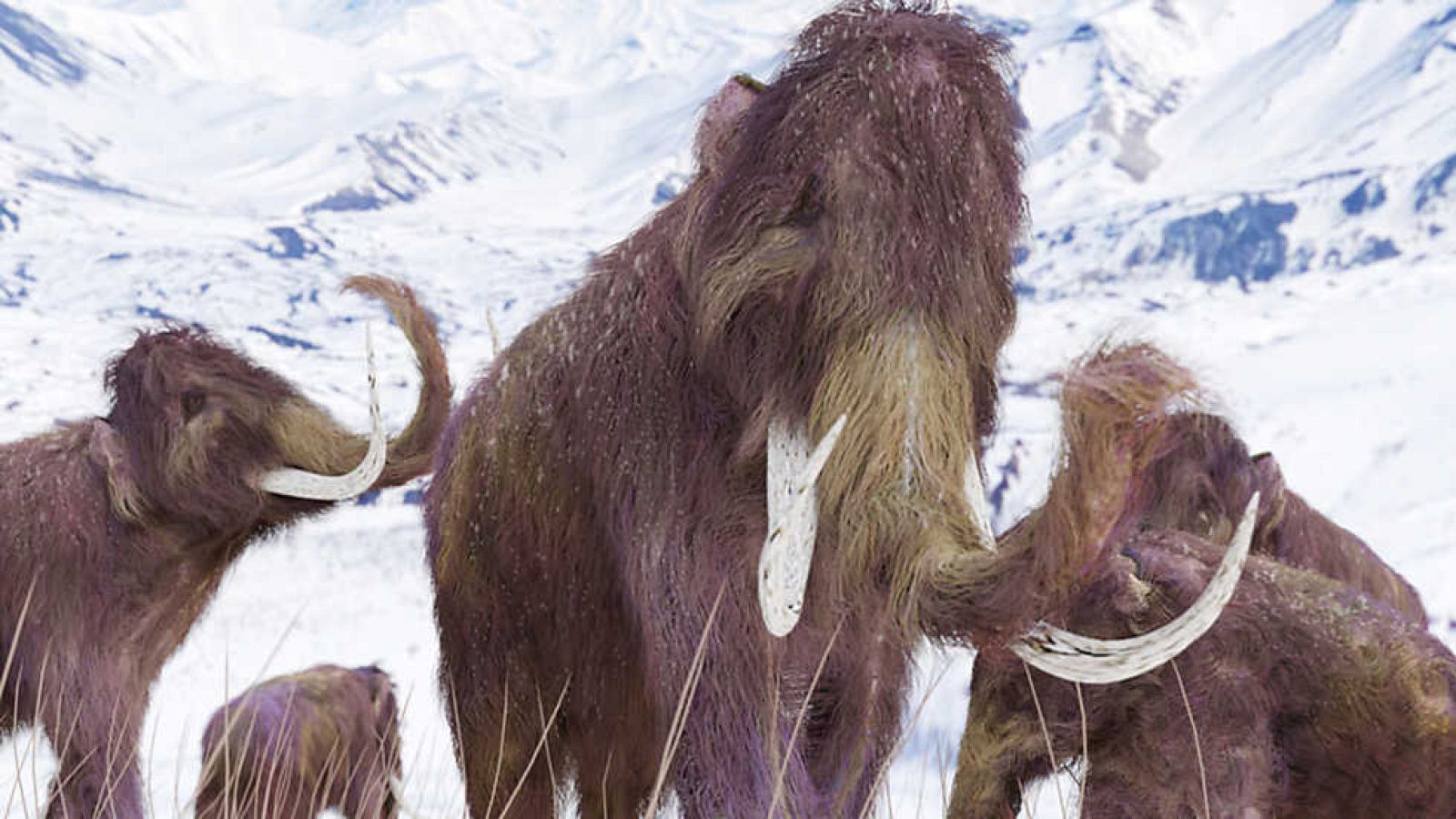 Documaster - Mamut: de entre los muertos   - Ver ahora