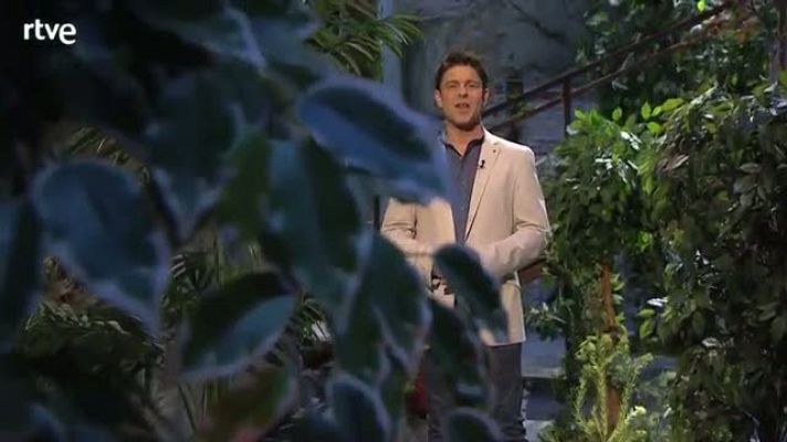 Yo, mono - Buenos y malos - avance