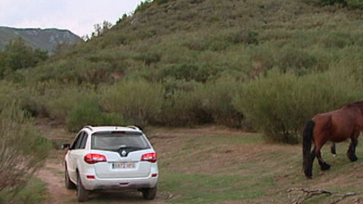 España Directo - La berrea, un espectáculo de la naturaleza