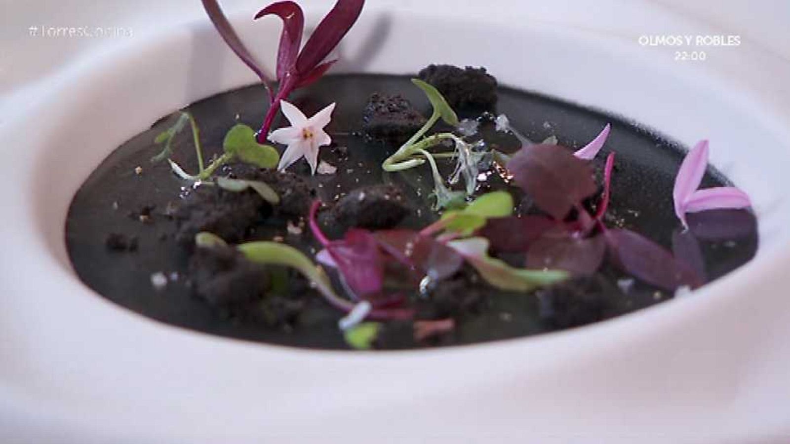 Torres en la cocina - Ajo - Ver ahora