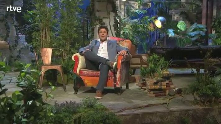 Yo, mono - Arte y estética - avance