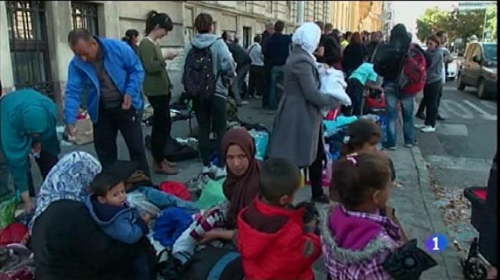 Informatiu Balear - El Col·legi de Psicòlegs s'ofereix per ajudar als refugiats sirians