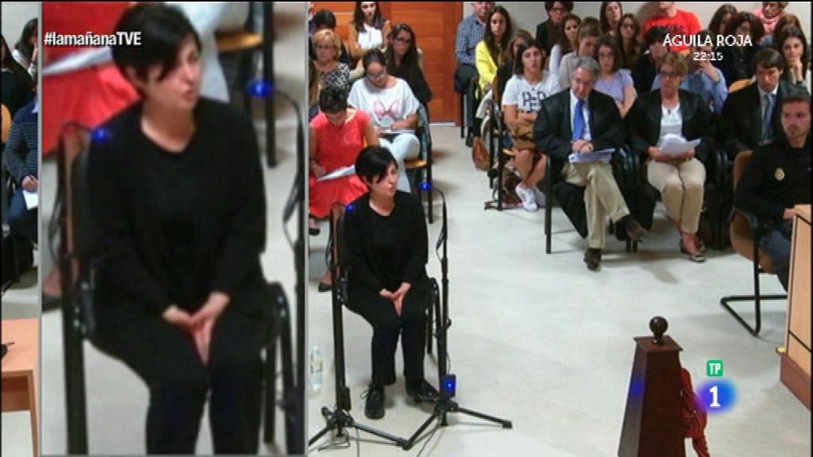 La declaración de Rosario Porto