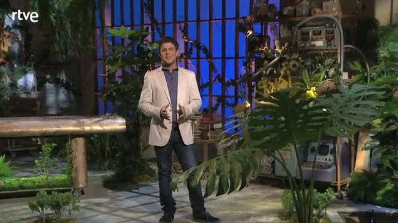 Yo, mono - Mentira, engaño y mimetismo - avance