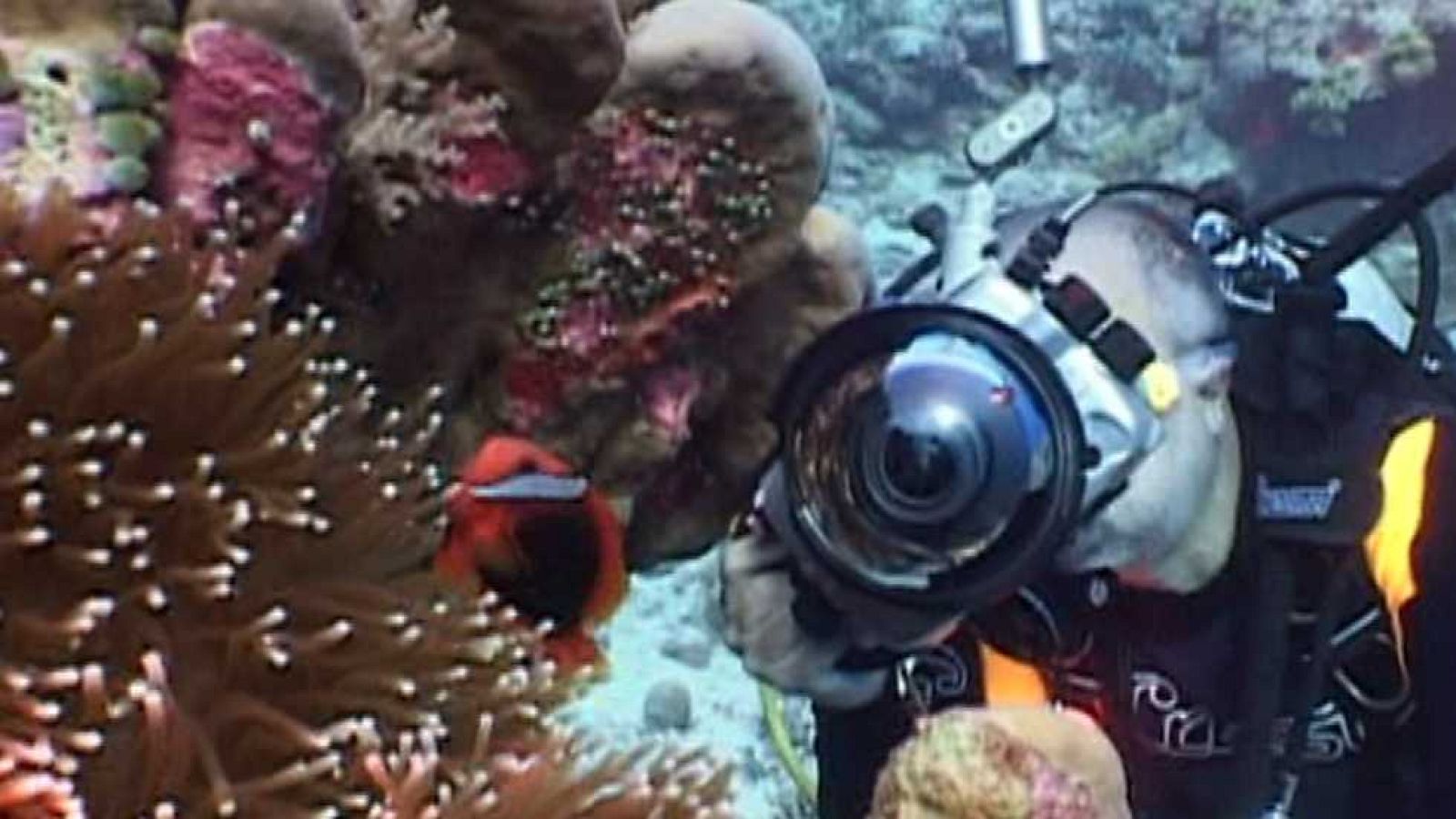 Bubbles - Layang Layang - Ver ahora