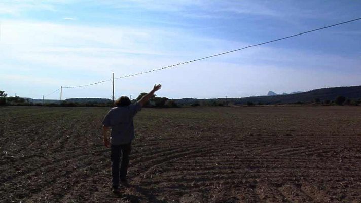 Aquí la Tierra - Despidiéndonos con Luismi de las golondrinas