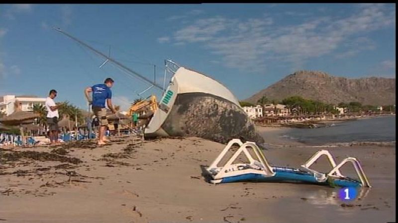 A Pollença recuperen les gandules de la mar.
