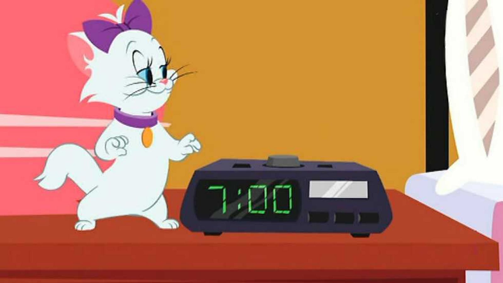 Te está mirando Aachi - Tom y Jerry | Ver