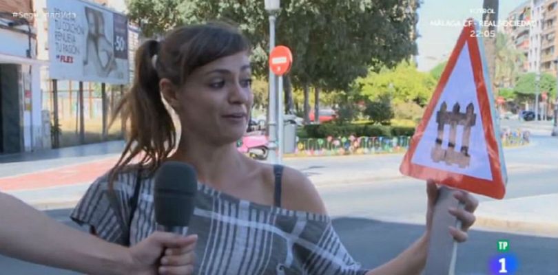 Seguridad vital 5.0 - 'Encuesta señal' - Paso a nivel con barrera