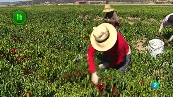 Agrosfera - Agrosfera - Con mucho gusto - Pimentón de La Vera
