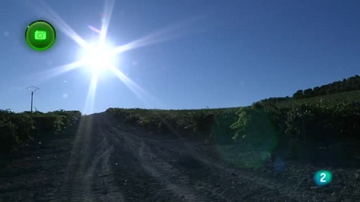 Agrosfera - La milla de oro de Ribera del Duero