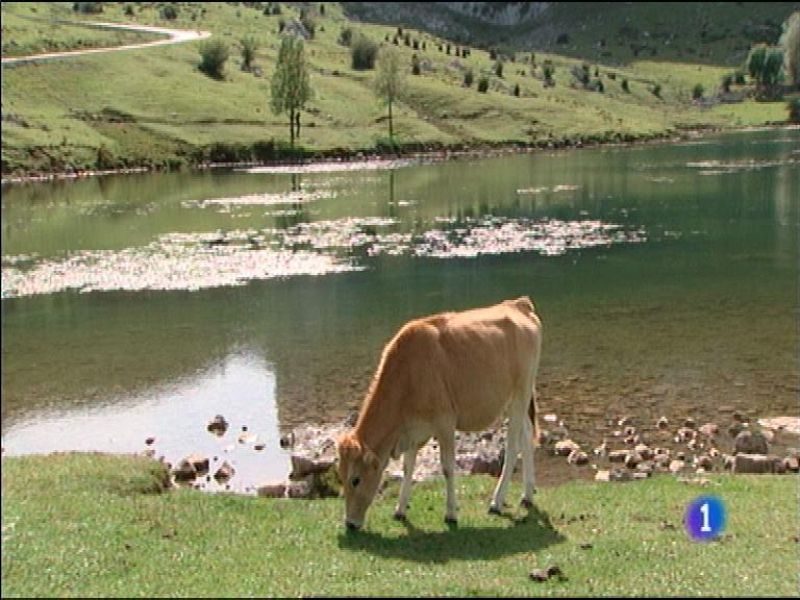 Asturias en 2' - 05/10/15 | Ver