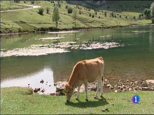 Panorama Regional - Panorama Regional - 05/10/15