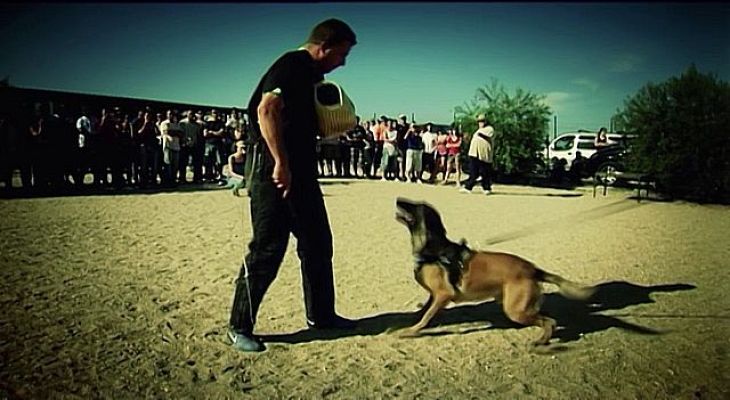 Universo UNED - Madri+d 214