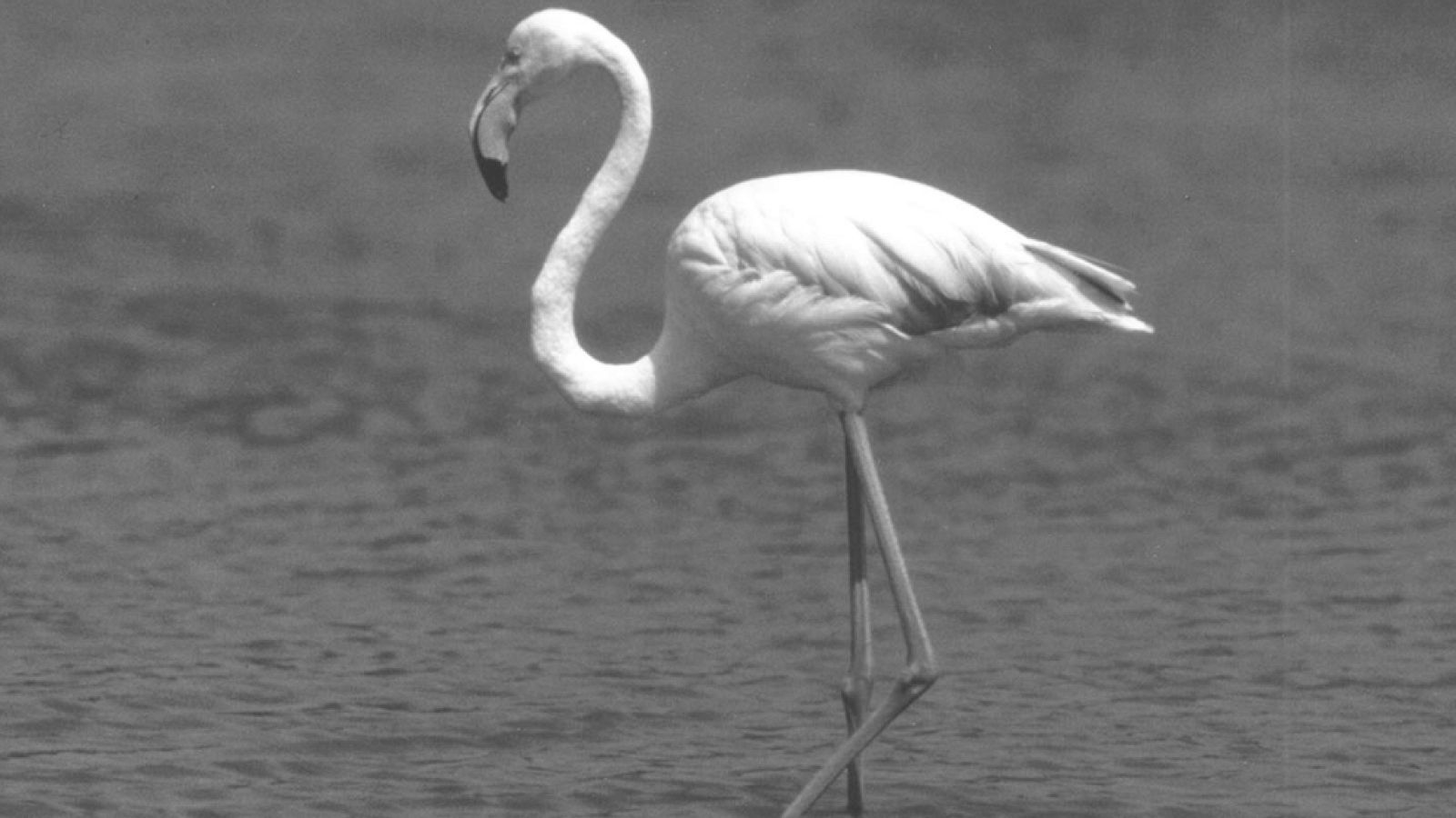 El planeta azul - El lago de la muerte