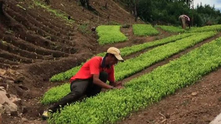 La 2 Noticias - La 2 Noticias - 07/10/15