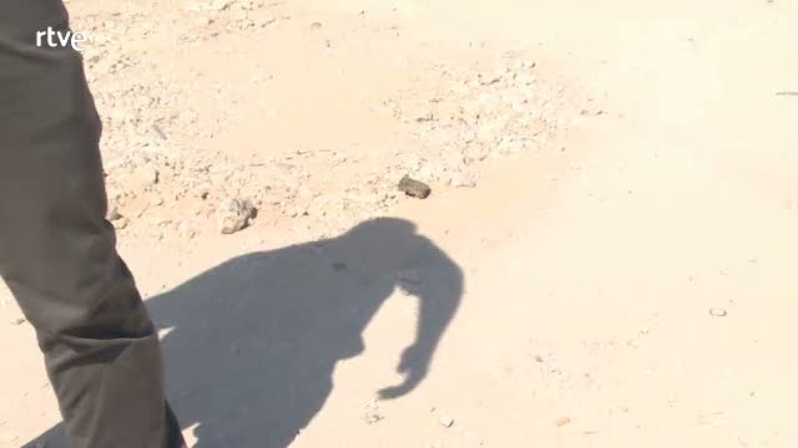 Del fraude particular hemos pasado a la estafa organizada - Repor | Ver