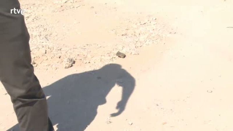 Del fraude particular hemos pasado a la estafa organizada - Repor | Ver