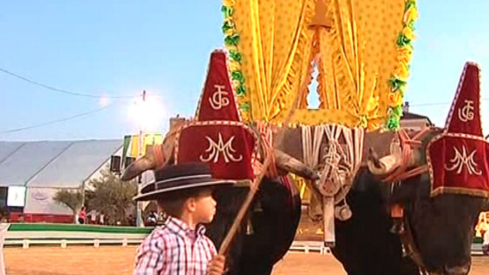 Los bueyes del Rocío