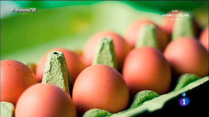 La mañana - ¿Qué tipo de dieta nos conviene?