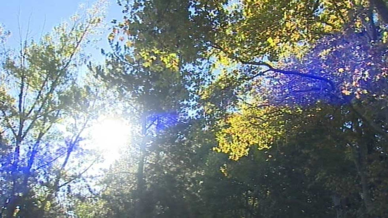 El Tiempo en la Comunidad de Madrid - 09/10/15