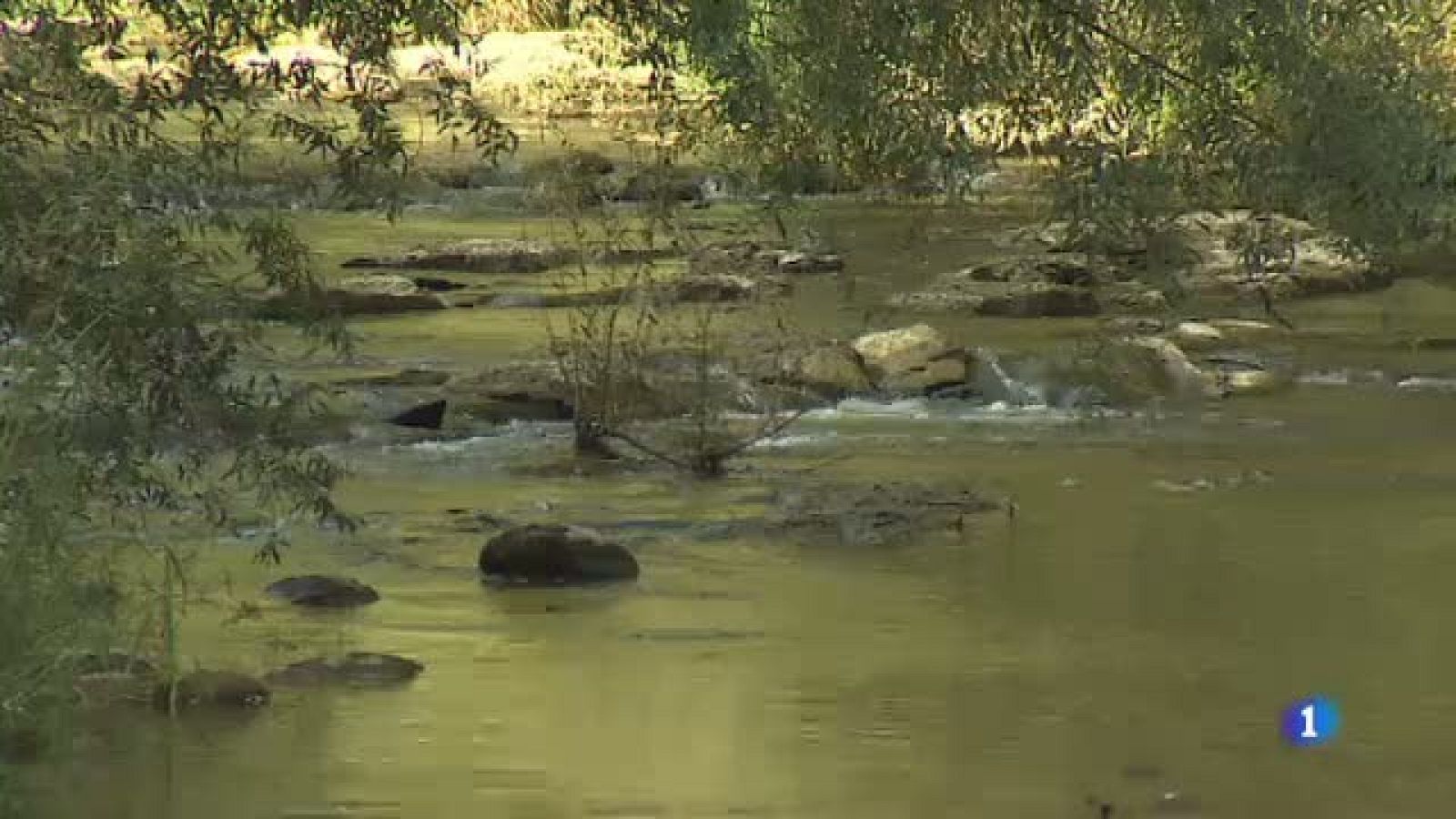 Us expliquem què és una "custòdia del territori"