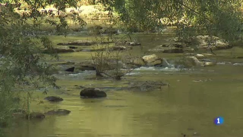 Us expliquem què és una "custòdia del territori"