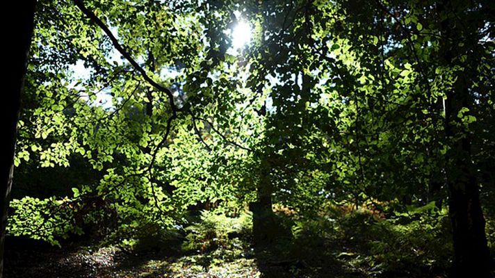 El tiempo - Chubascos localmente fuertes en el cuadrante suroeste