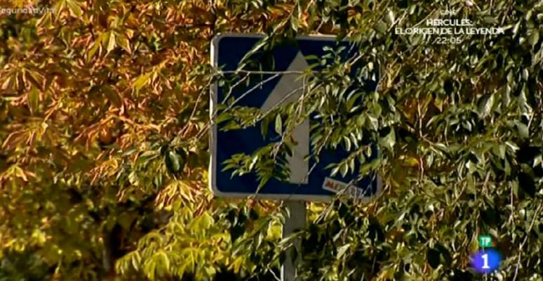 Seguridad vital 5.0 - 'El Radar' - Señales en mal estado