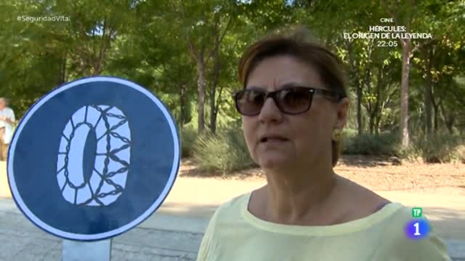 'Seguridad Vital' - 'Encuesta señal'