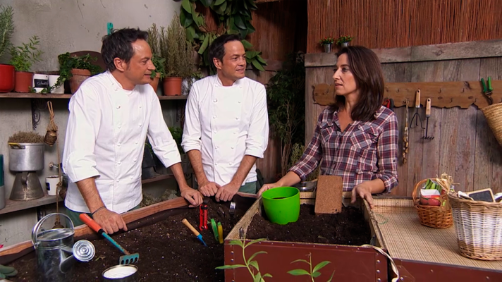 Torres en la cocina - Cómo hacer tu huerto urbano (Capítulo 1)