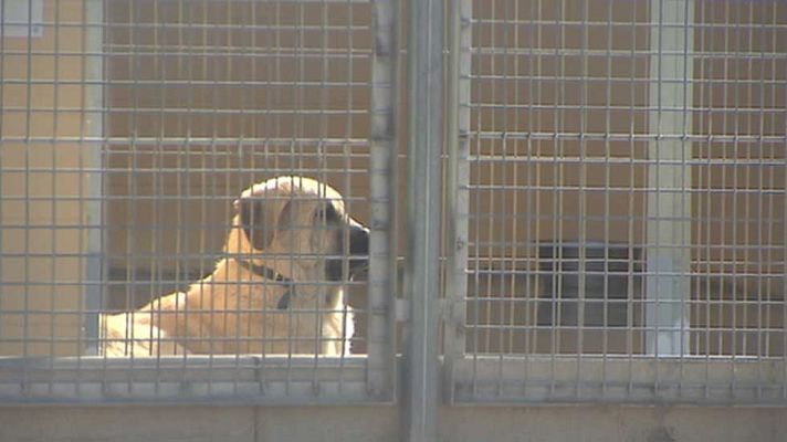 Informativo de Madrid - La Comunidad de Madrid en 4' - 13/10/15