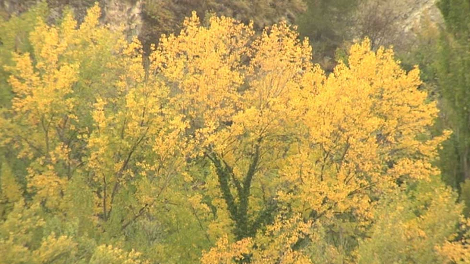 El Tiempo en la Comunidad de Madrid - 13/10/15