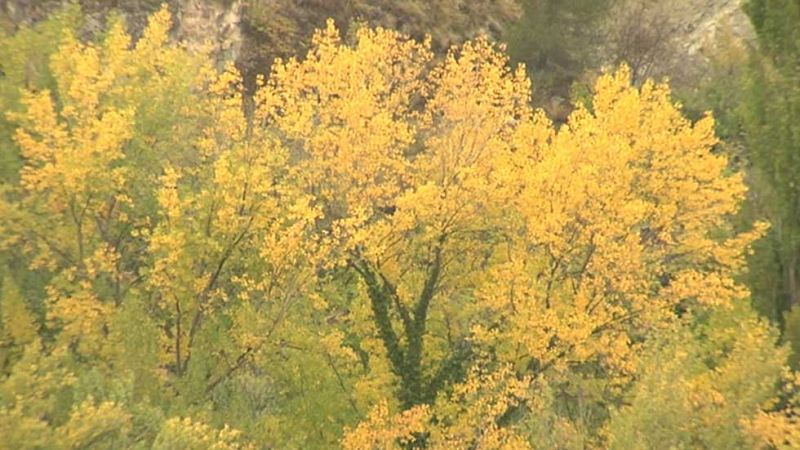 El Tiempo en la Comunidad de Madrid - 13/10/15