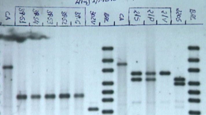 Informativo de Madrid - Informativo de Madrid 2 - 13/10/15